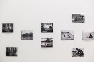 Thomas Dick and John Heath, ’Twenty black-and-white photographs’ (1910). documenta 14, Athens (8 April–16 July 2017). Courtesy Ocula. Photo: Charles Roussel.